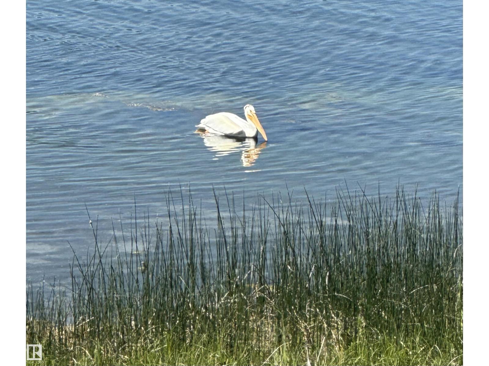 103 2307 Twp 522, Rural Parkland County, Alberta  T7Y 3L7 - Photo 8 - E4440184