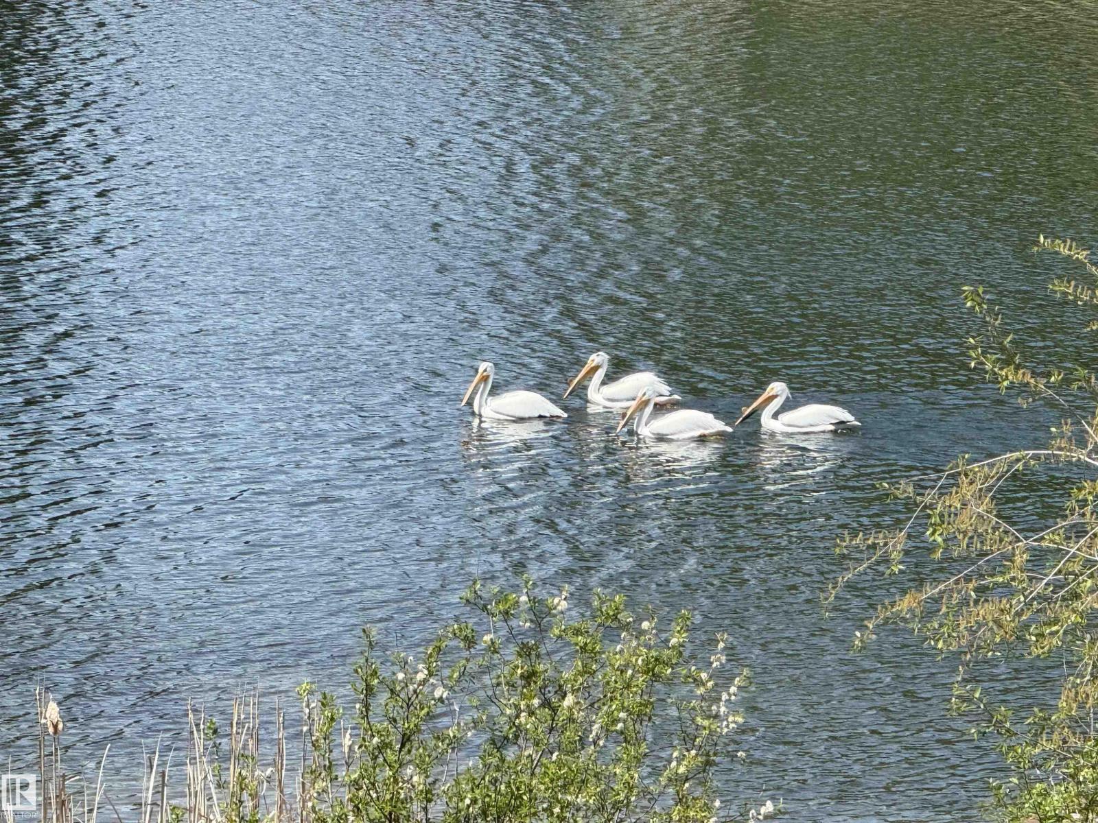 103 2307 Twp 522, Rural Parkland County, Alberta  T7Y 3L7 - Photo 10 - E4440184