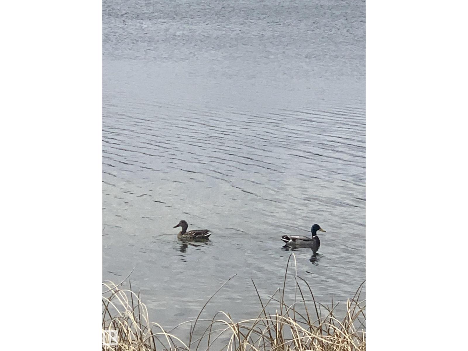 103 2307 Twp 522, Rural Parkland County, Alberta  T7Y 3L7 - Photo 14 - E4440184