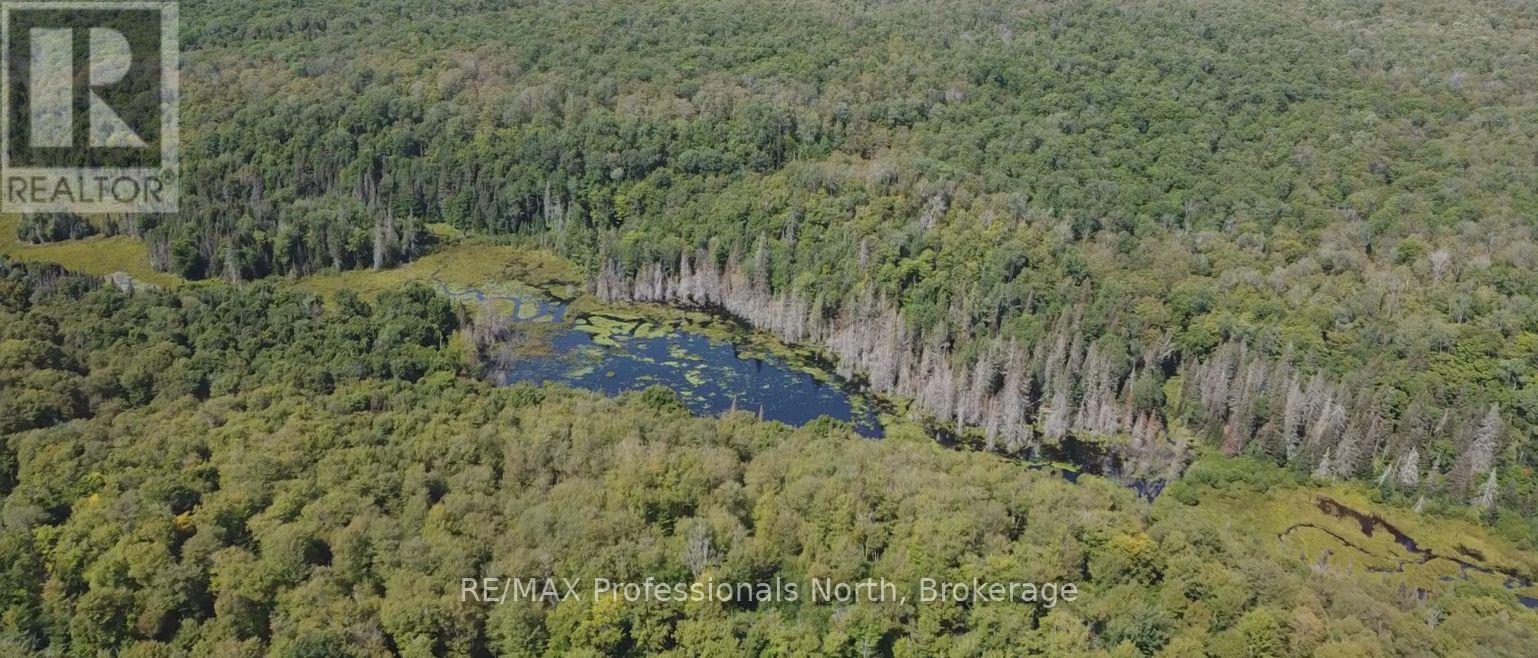 376 Riding Ranch Road, South River, Ontario  P0A 1X0 - Photo 41 - X12354938
