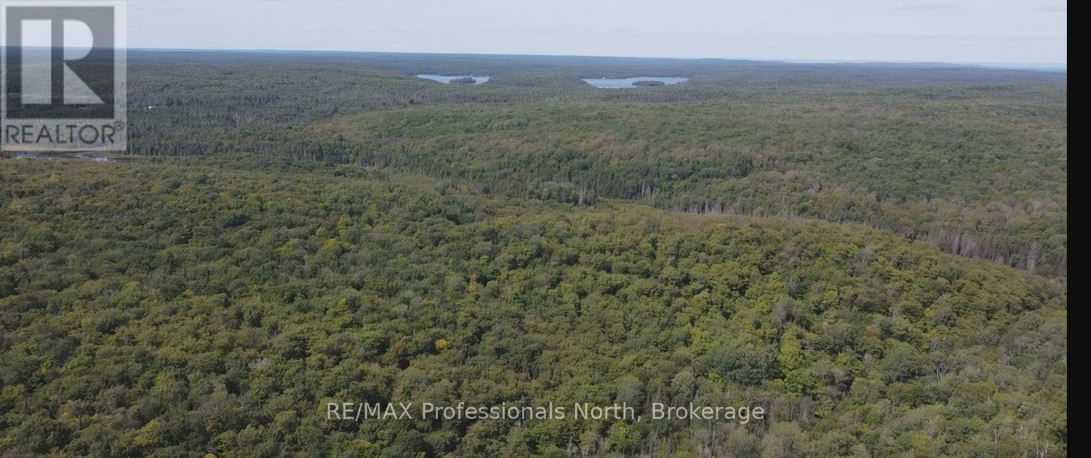 376 Riding Ranch Road, South River, Ontario  P0A 1X0 - Photo 42 - X12354938