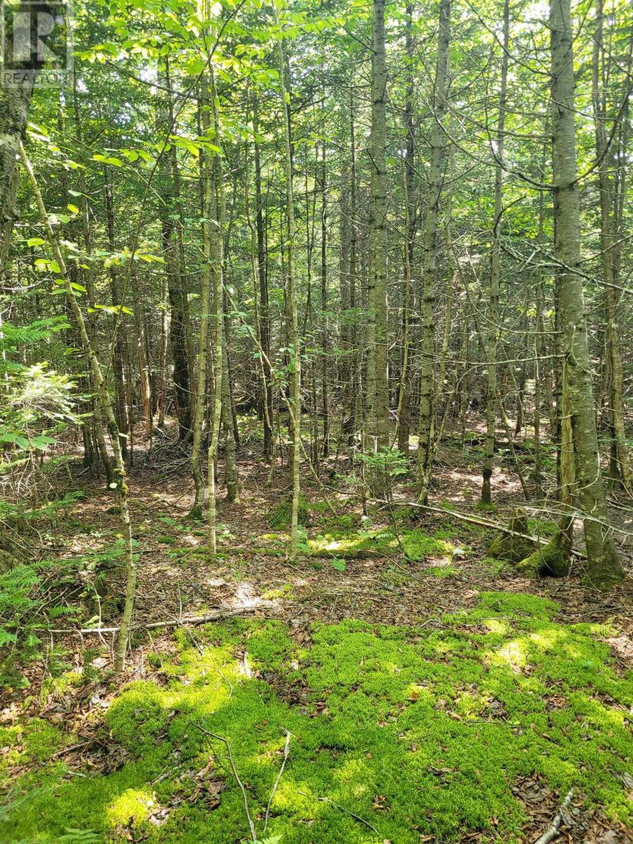 Crandall Road, Crandall Road, Nova Scotia  B9A 1W9 - Photo 10 - 202523269