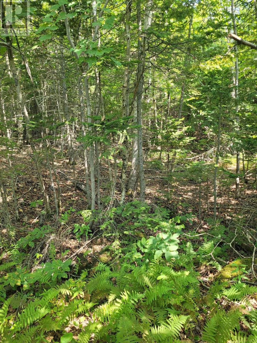 Crandall Road, Crandall Road, Nova Scotia  B9A 1W9 - Photo 14 - 202523269
