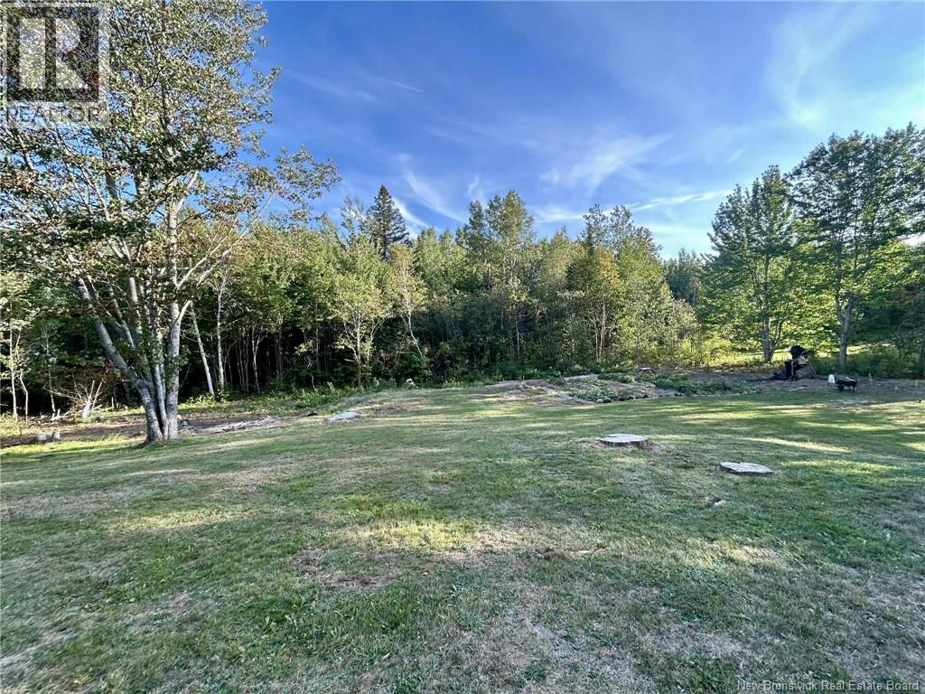 7781 117 Route, Black River Bridge, New Brunswick  E1N 5K7 - Photo 36 - NB127066