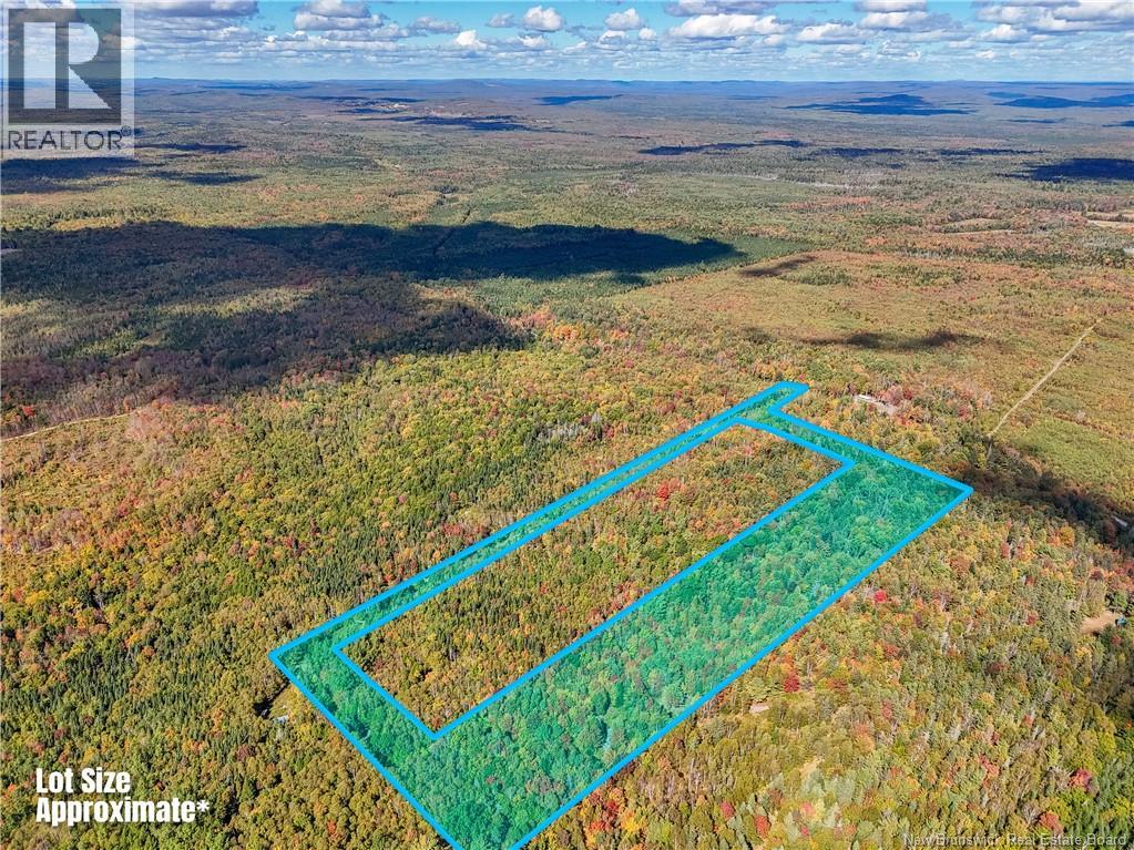 Lot Gullison Lane, Scotch Lake, New Brunswick  E6E 0A3 - Photo 11 - NB126580