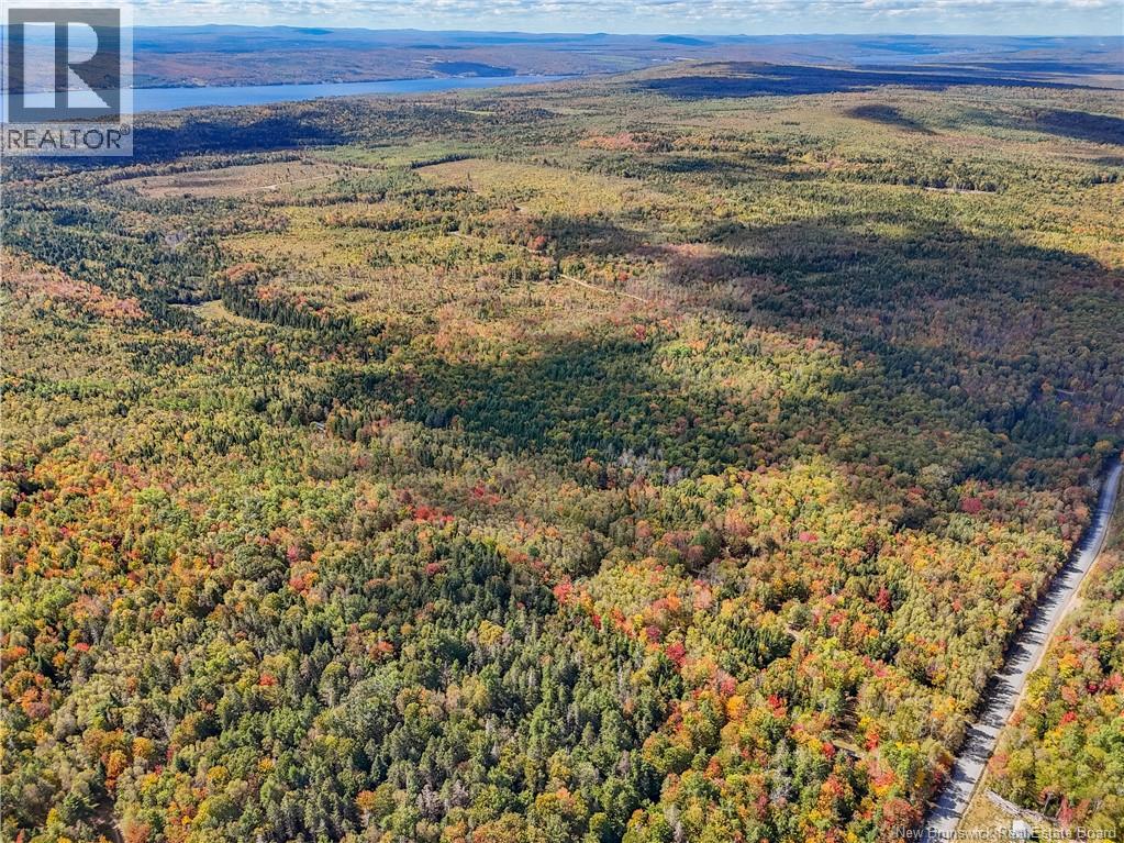 Lot Gullison Lane, Scotch Lake, New Brunswick  E6E 0A3 - Photo 6 - NB126580