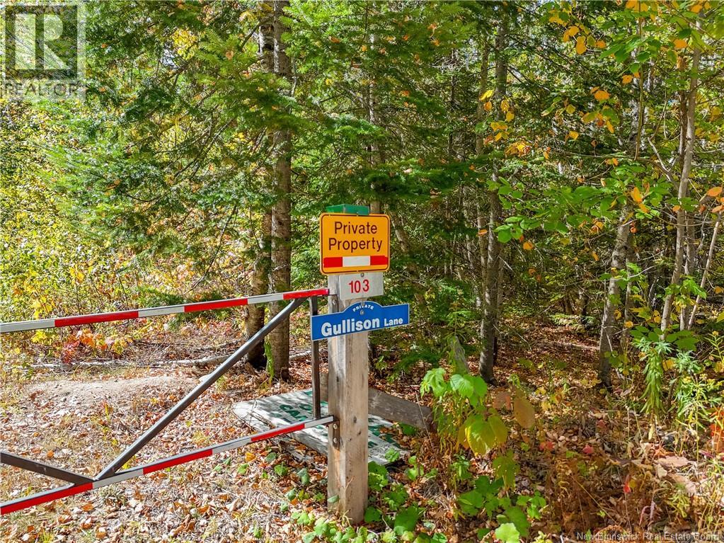 Lot Gullison Lane, Scotch Lake, New Brunswick  E6E 0A3 - Photo 8 - NB126580