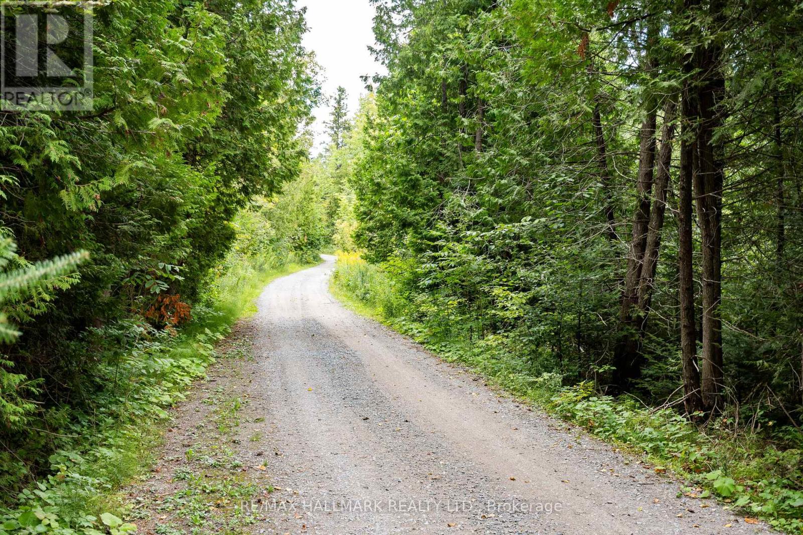 175 Concession 2 Road, Brock, Ontario  L0C 1H0 - Photo 45 - N12417975