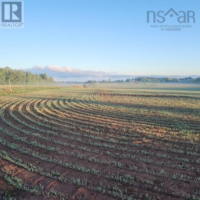 Lot 2024 Maple Ridge Road, Lower Wolfville, Nova Scotia  B4P 2R1 - Photo 6 - 202419806