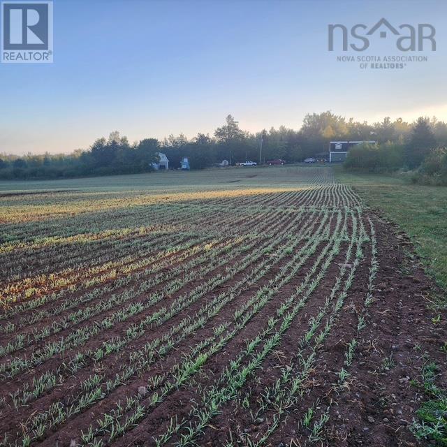 Lot 2024 Maple Ridge Road, Lower Wolfville, Nova Scotia  B4P 2R1 - Photo 7 - 202419806