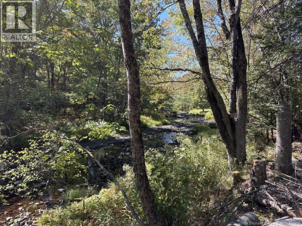 309 O'leary Road, Beaver Dam, New Brunswick  E3B 9K4 - Photo 1 - NB127127