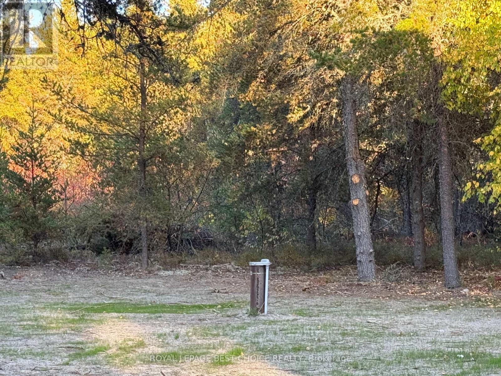 505540 Airport Road, Timiskaming, Ontario  P0J 1C0 - Photo 45 - T12357938