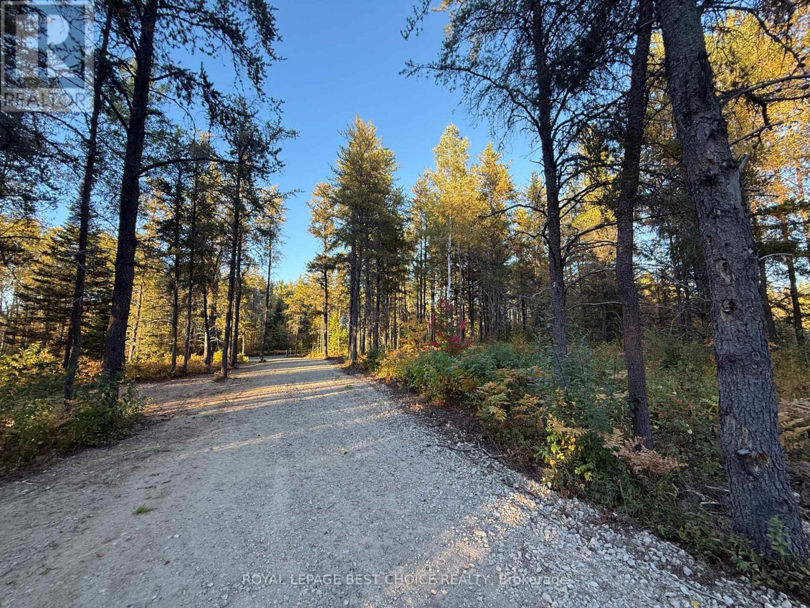 505540 Airport Road, Timiskaming, Ontario  P0J 1C0 - Photo 48 - T12357938