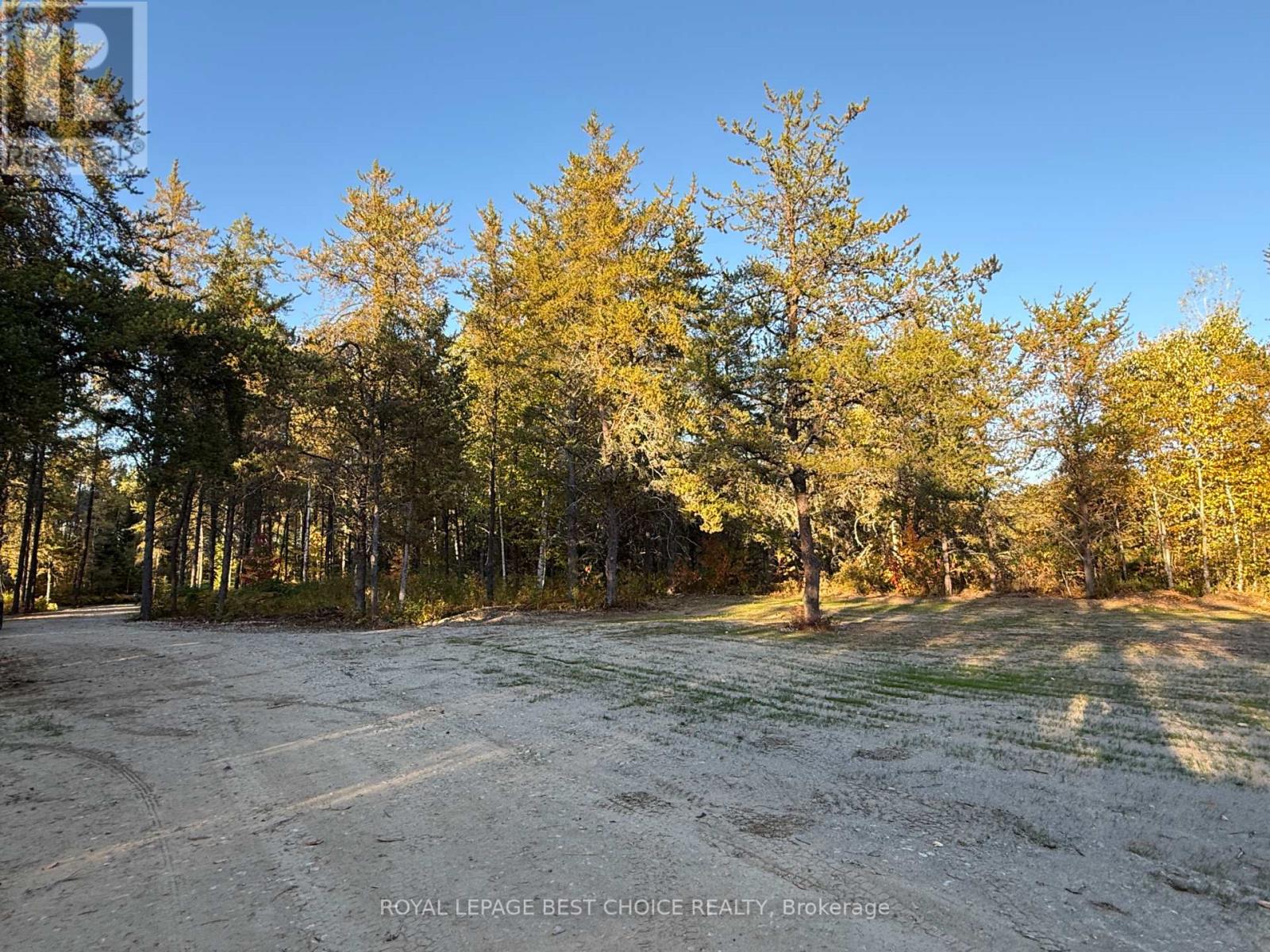 505540 Airport Road, Timiskaming, Ontario  P0J 1C0 - Photo 9 - T12357938