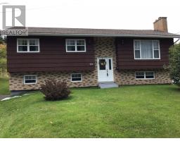 20 Massey Drive, Massey Drive, Newfoundland & Labrador