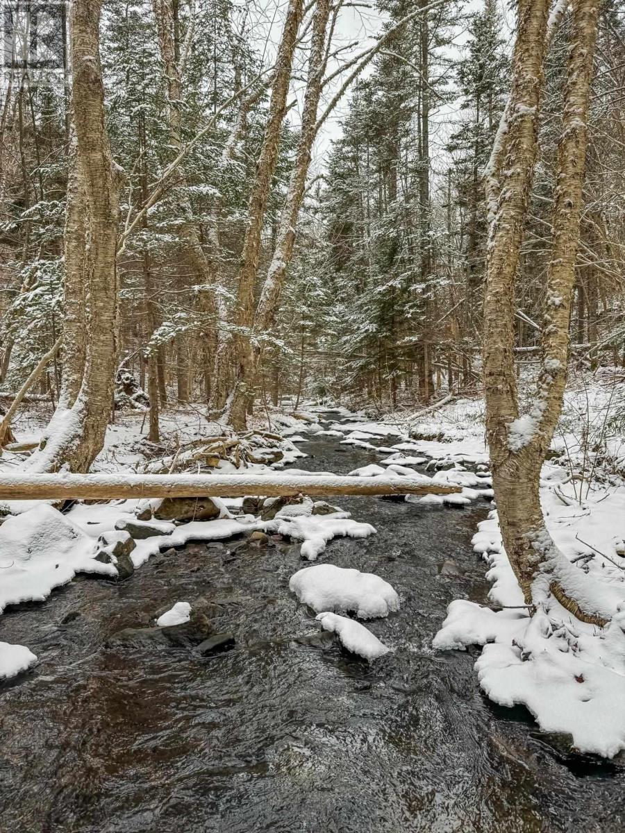 Baxters Harbour Road, Baxters Harbour, Nova Scotia  B0P 1H0 - Photo 25 - 202517355