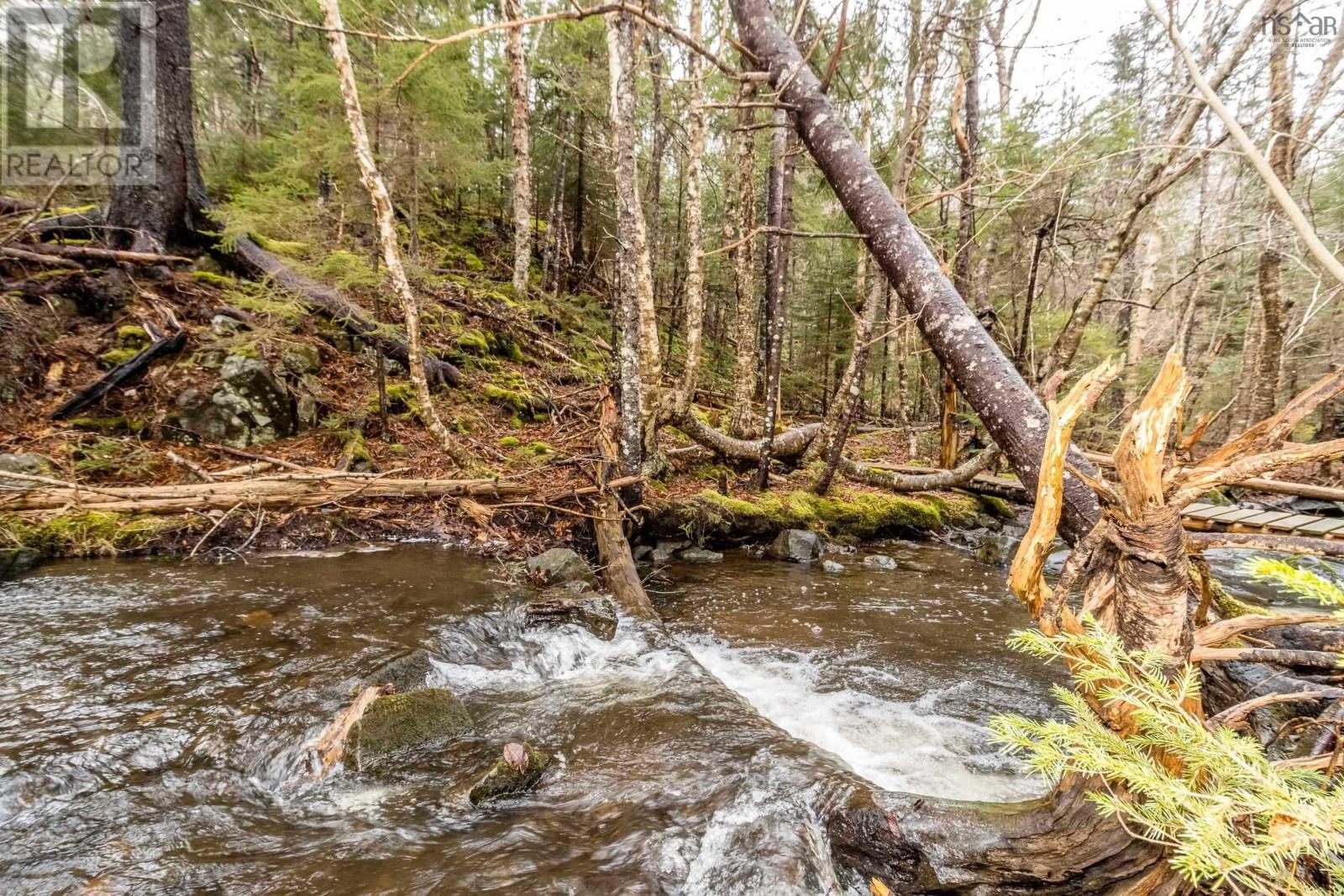 Baxters Harbour Road, Baxters Harbour, Nova Scotia  B0P 1H0 - Photo 21 - 202517355