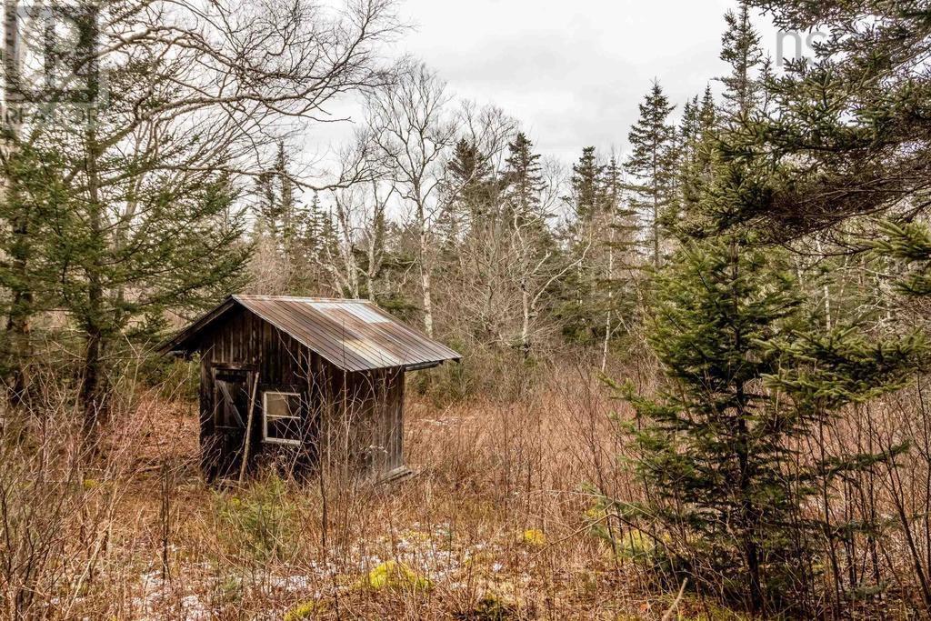 Baxters Harbour Road, Baxters Harbour, Nova Scotia  B0P 1H0 - Photo 18 - 202517355