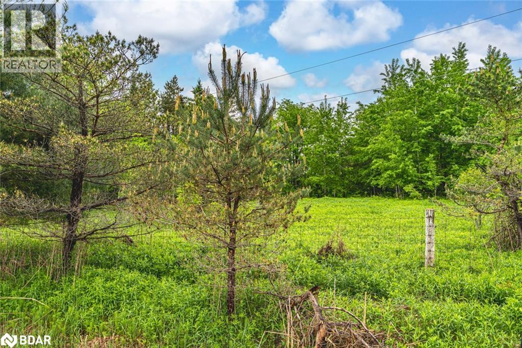 699 Moonstone Road E, Oro-Medonte, Ontario  L0K 1N0 - Photo 4 - 40740817