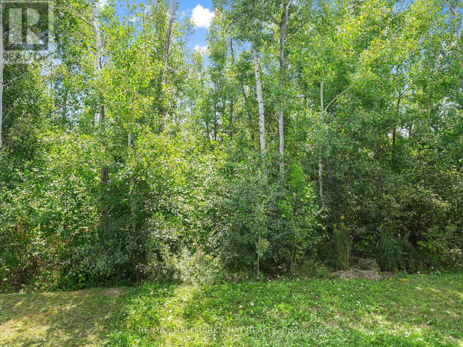 279 Atkinson Street, Clearview, Ontario  L0M 1S0 - Photo 29 - S12418168