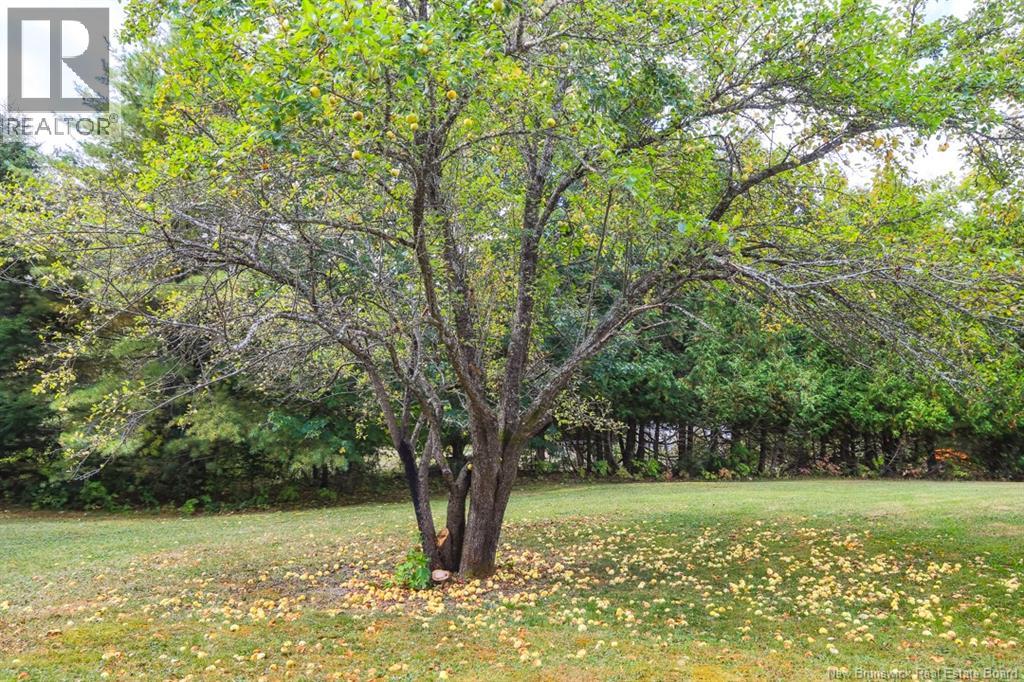 126 Days Corner Road, Lower Greenwich, New Brunswick  E5K 4J9 - Photo 26 - NB127110