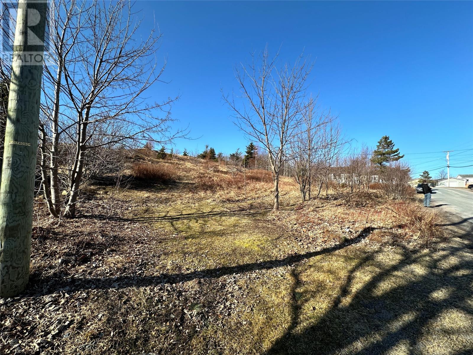 44-48 Back Road, Upper Island Cove, Newfoundland & Labrador  A0A 4E0 - Photo 7 - 1290740