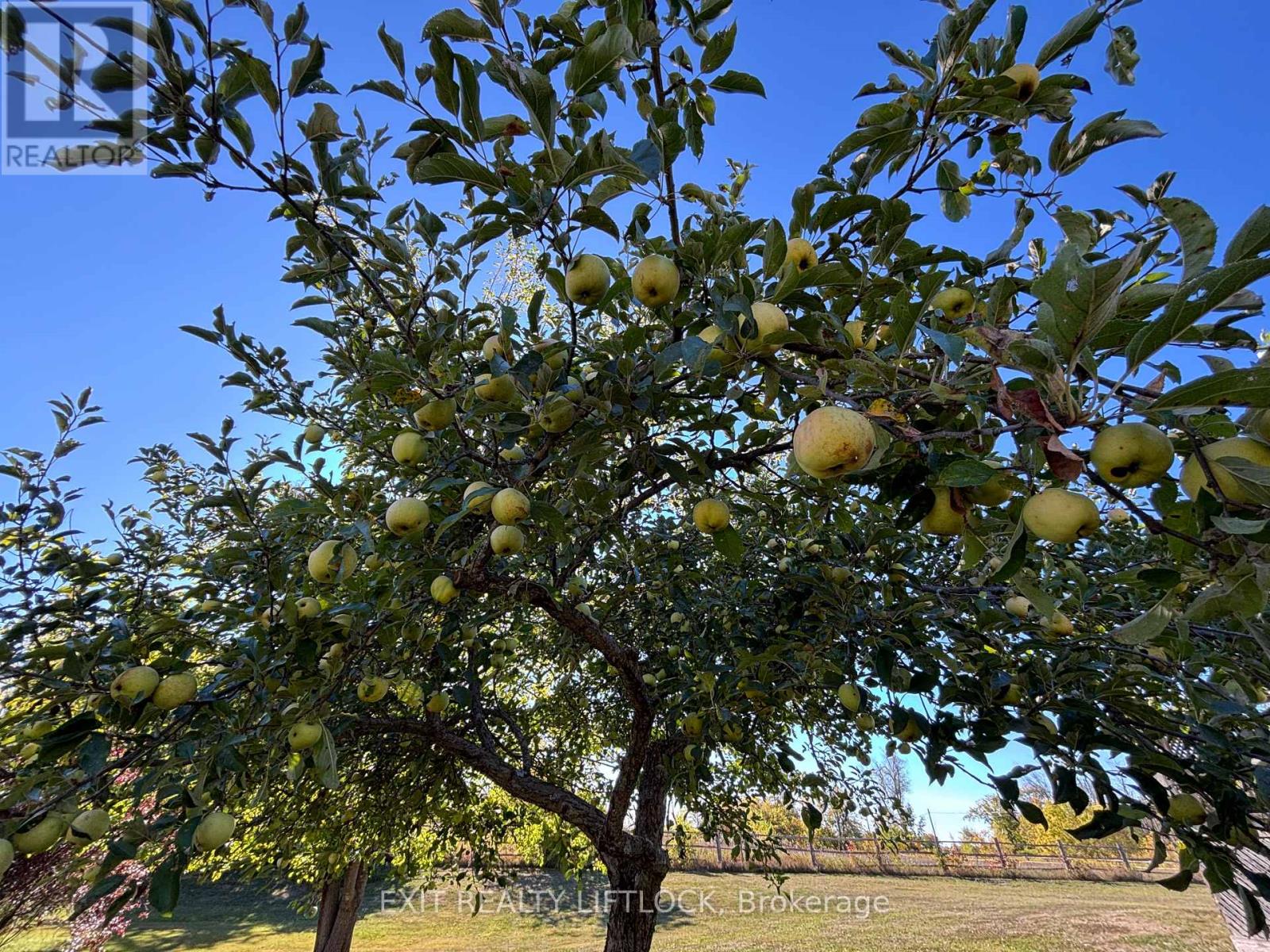 2725 Dummer Asphodel Road, Asphodel-Norwood, Ontario  K0L 2V0 - Photo 24 - X12418389