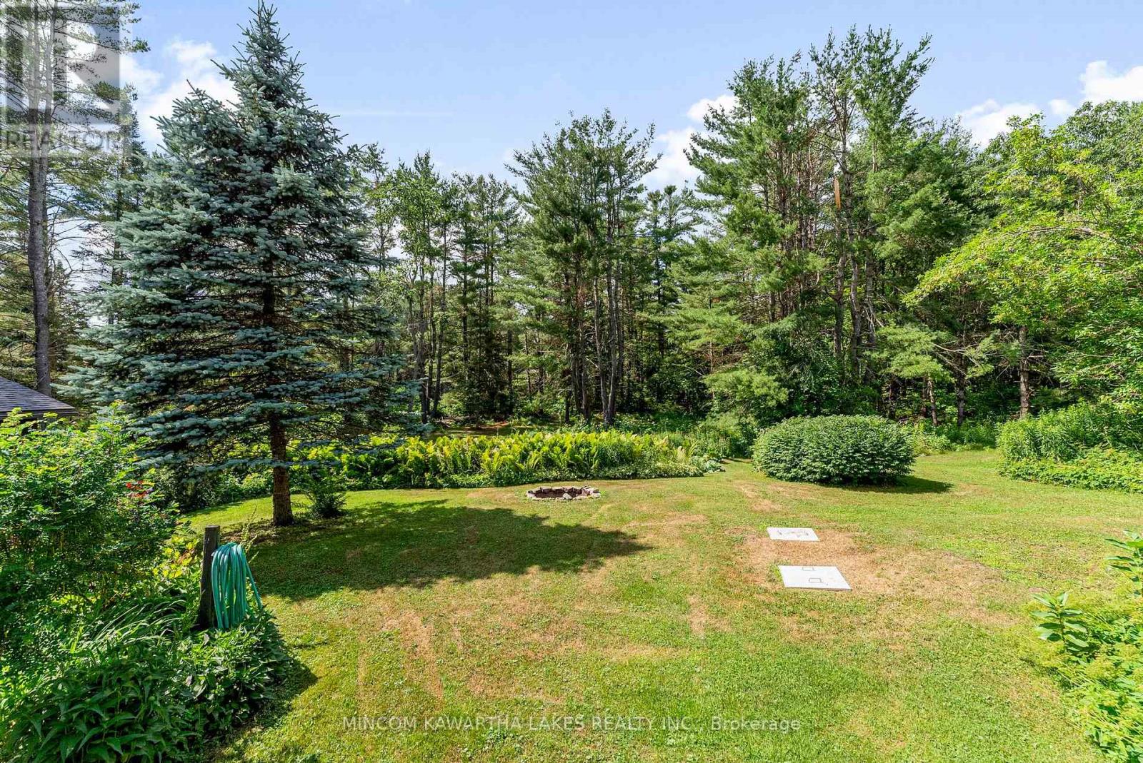 60 Burleigh Street, North Kawartha, Ontario  K0L 1A0 - Photo 34 - X12418413