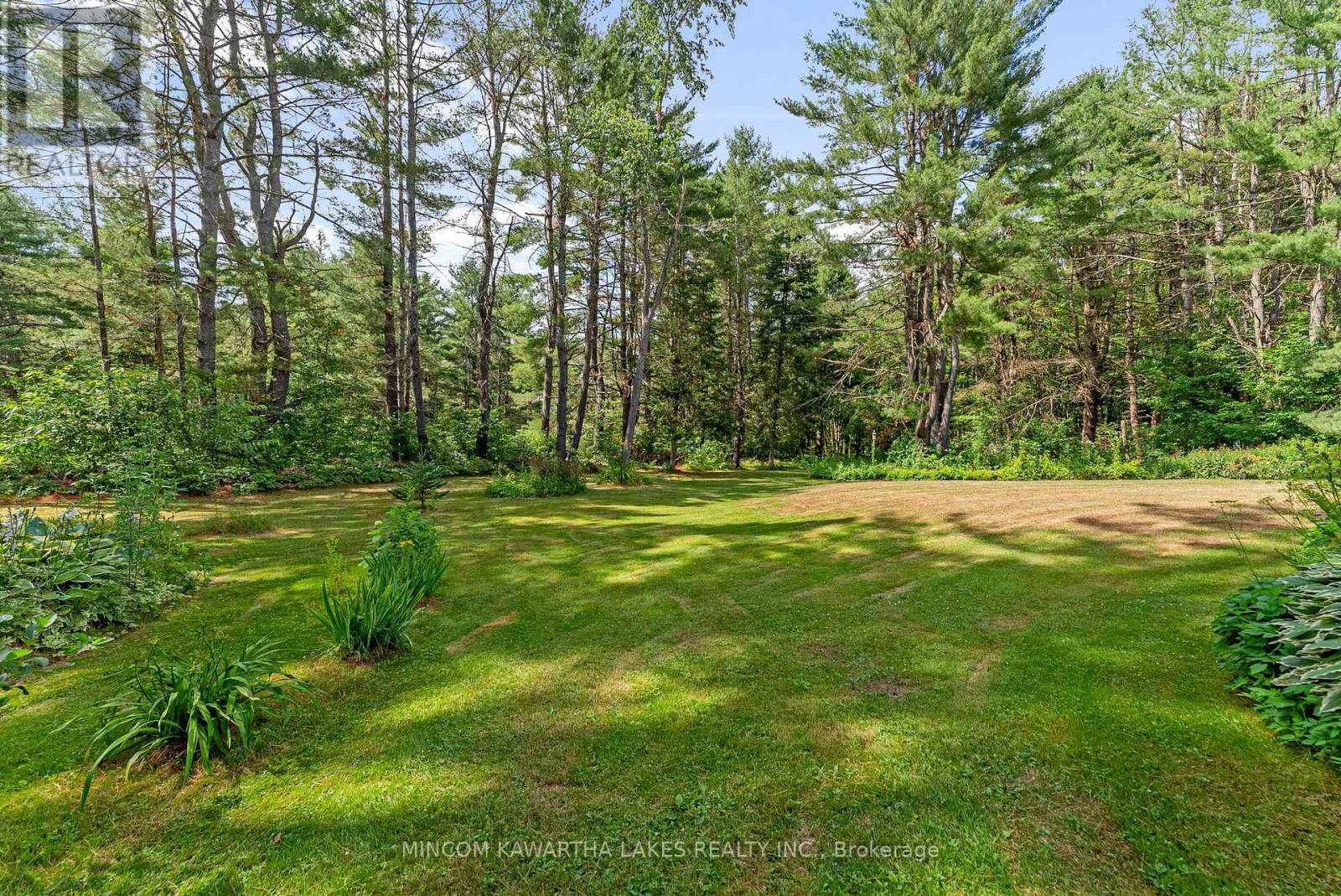 60 Burleigh Street, North Kawartha, Ontario  K0L 1A0 - Photo 37 - X12418413