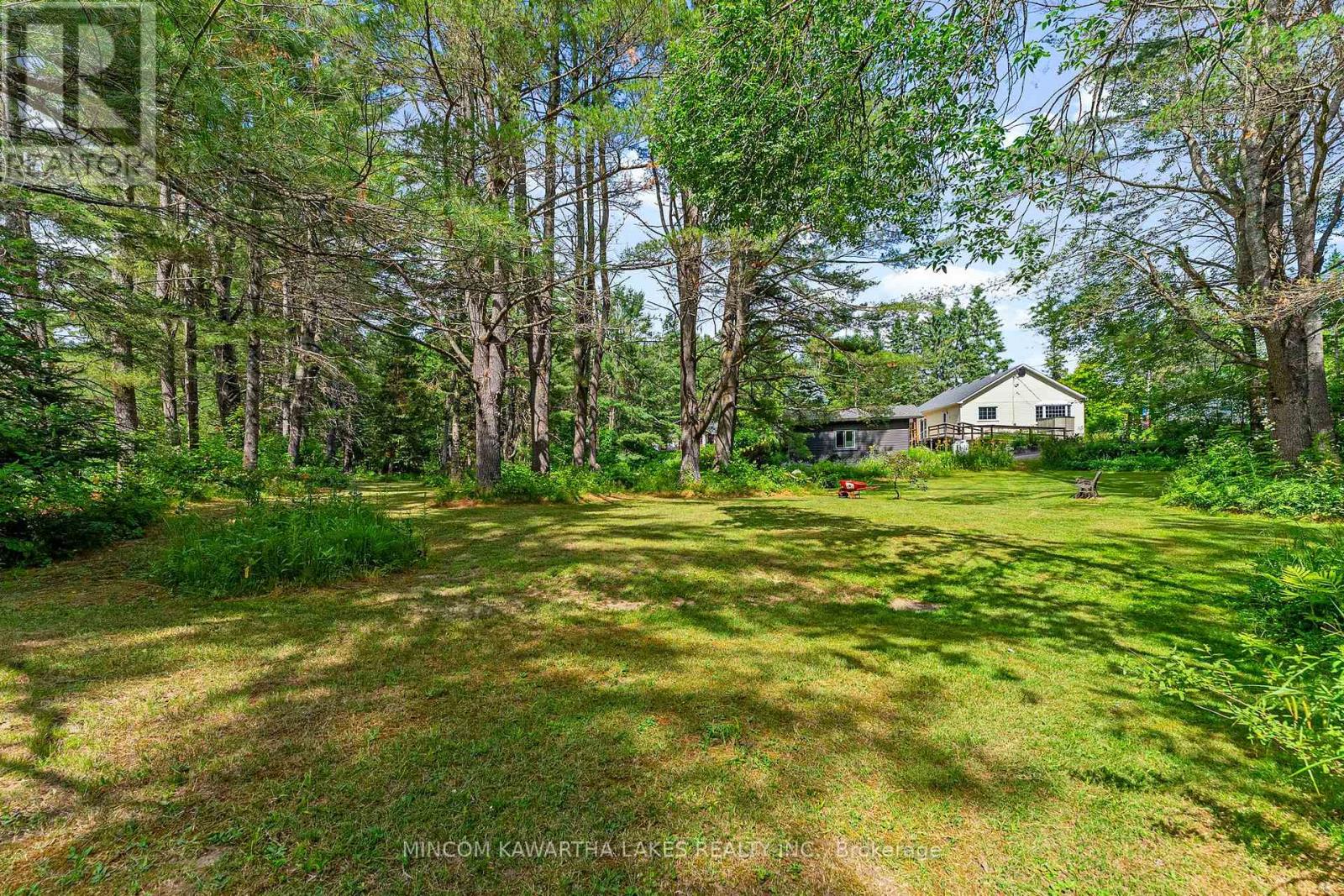 60 Burleigh Street, North Kawartha, Ontario  K0L 1A0 - Photo 42 - X12418413