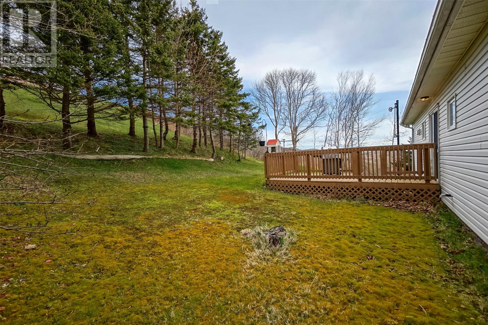 51 Main Road, Upper Island Cove, Newfoundland & Labrador  A0A 4E0 - Photo 6 - 1290745