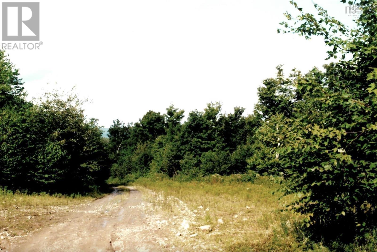 Lots 2 & 3 Big Brook Road, Big Brook, Nova Scotia