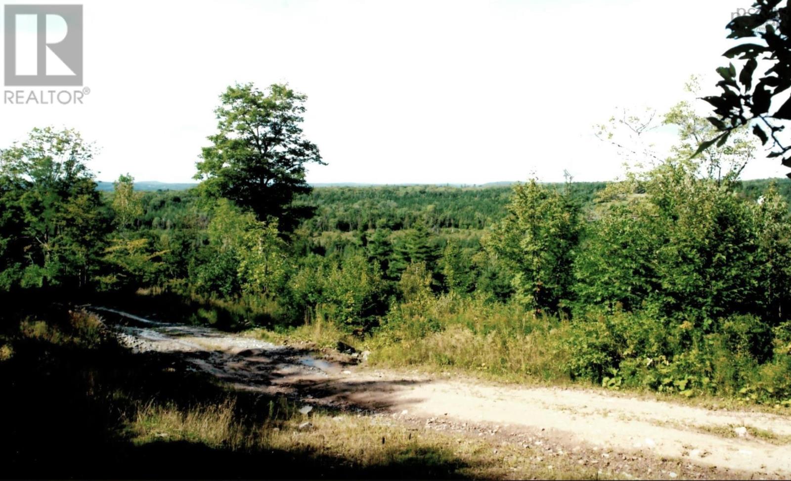 Lots 2 & 3 Big Brook Road, Big Brook, Nova Scotia  B0E 2Y0 - Photo 2 - 202517296