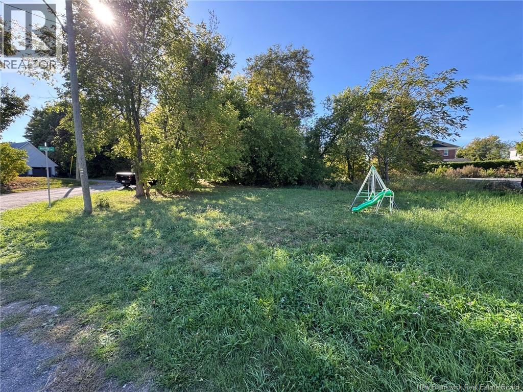 0 Boyne Street, Woodstock, New Brunswick  E7M 6B1 - Photo 3 - NB127146