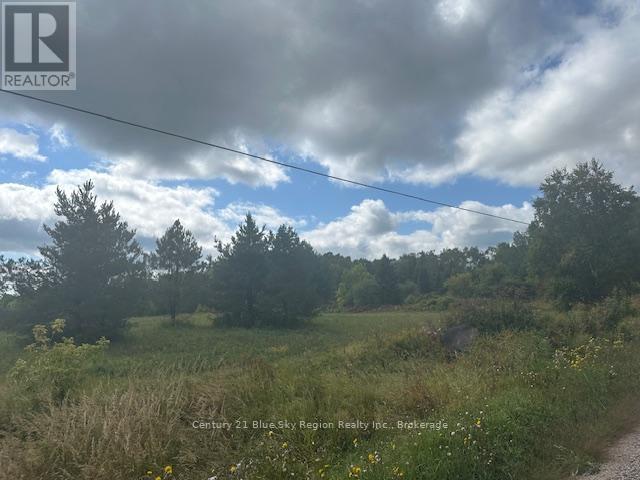 629 Wasing Road, Chisholm, Ontario  P0H 1Z0 - Photo 5 - X12418516
