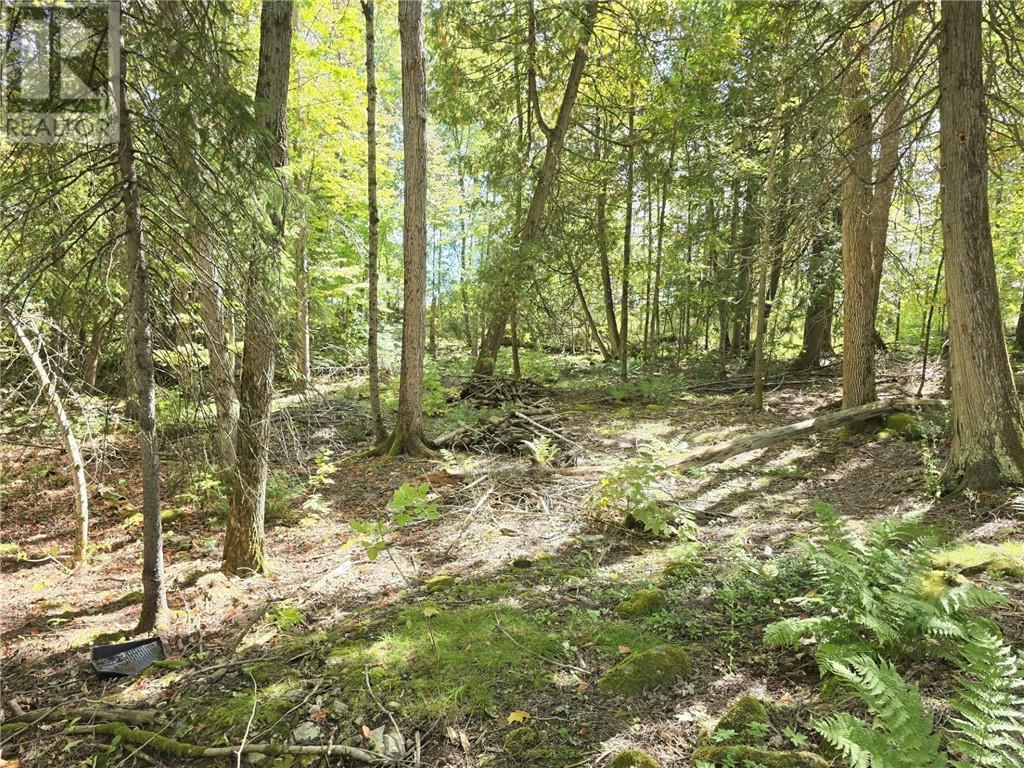 950 Monument Rd, Spring Bay, Ontario  P0P 2B0 - Photo 19 - 2124842