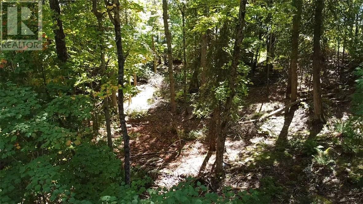 950 Monument Rd, Spring Bay, Ontario  P0P 2B0 - Photo 20 - 2124842
