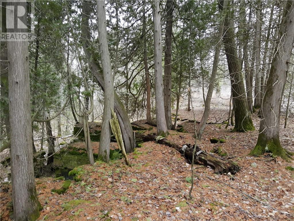 950 Monument Rd, Spring Bay, Ontario  P0P 2B0 - Photo 25 - 2124842