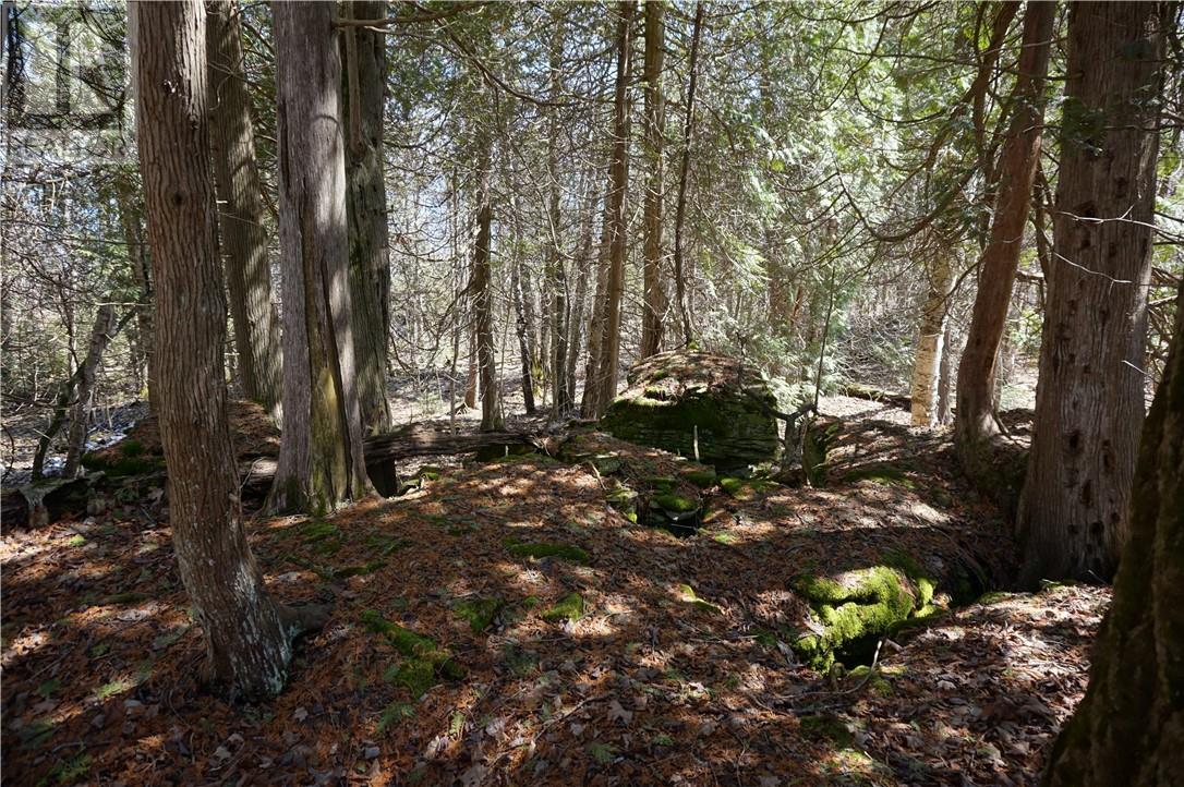 950 Monument Rd, Spring Bay, Ontario  P0P 2B0 - Photo 28 - 2124842