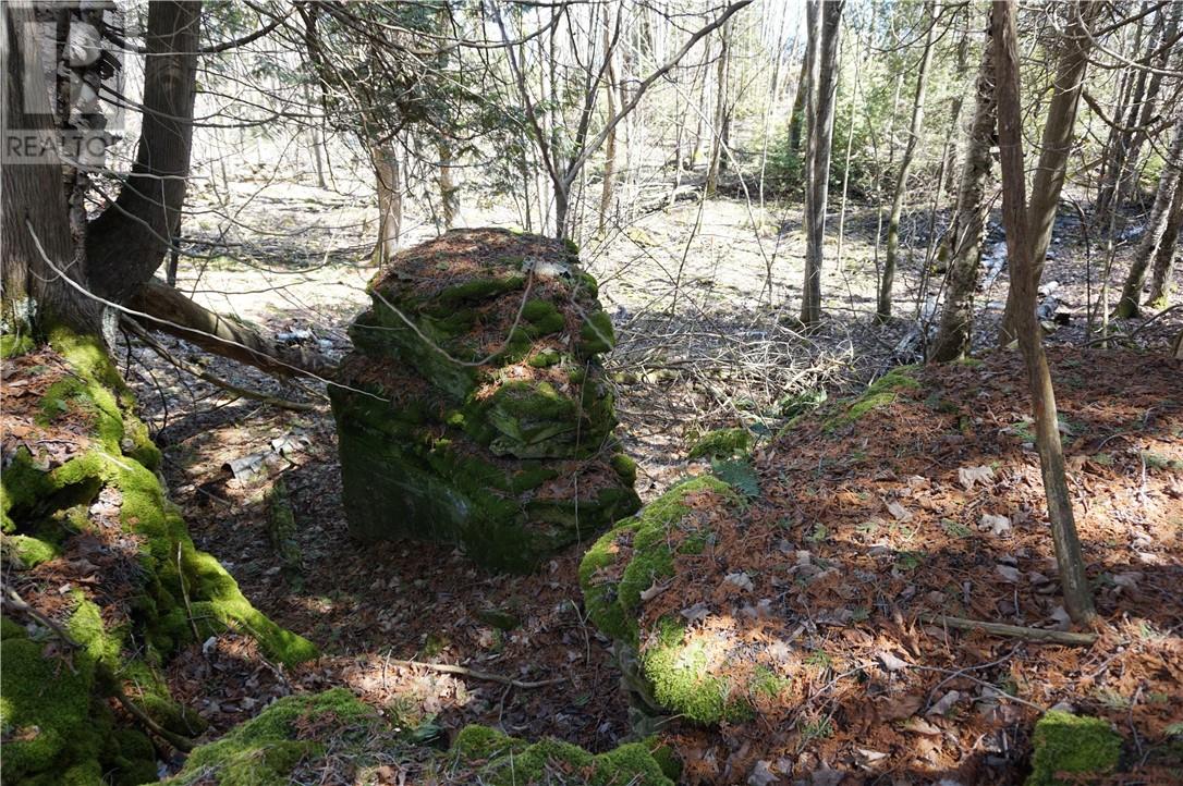 950 Monument Rd, Spring Bay, Ontario  P0P 2B0 - Photo 29 - 2124842