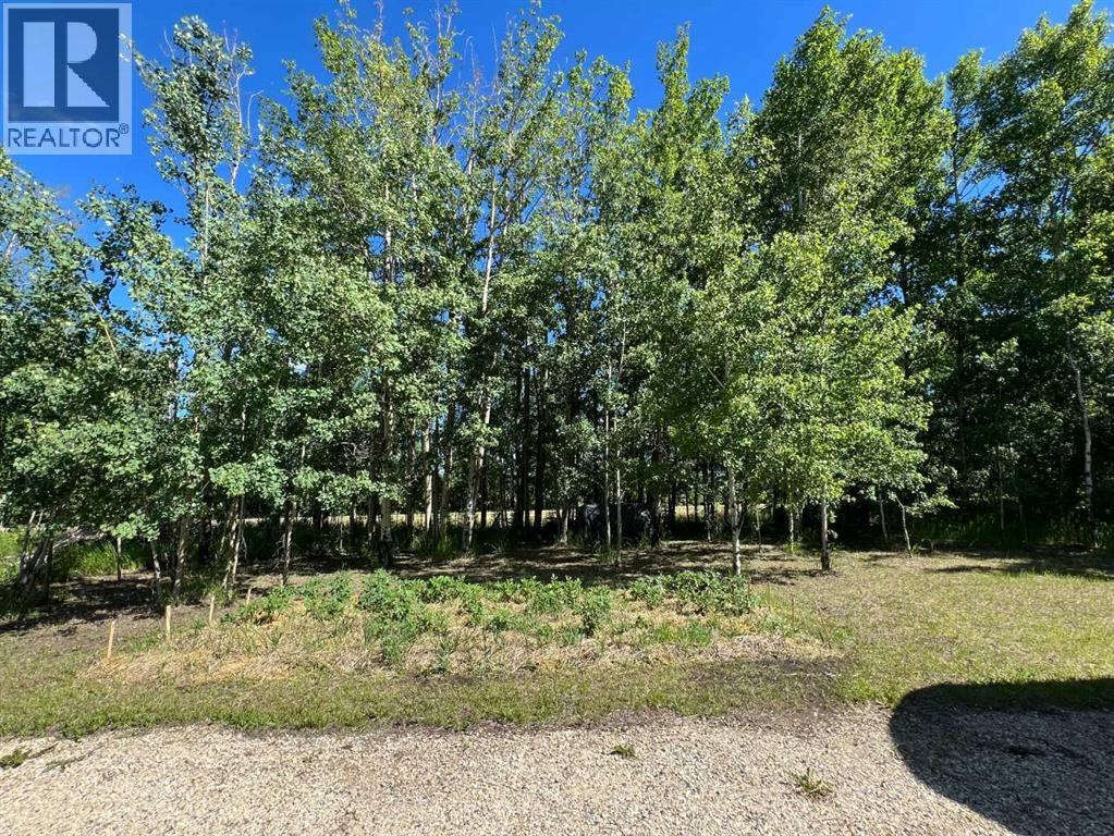 11013 Township Road 423, Rural Ponoka County, Alberta  T0C 2J0 - Photo 18 - A2232014