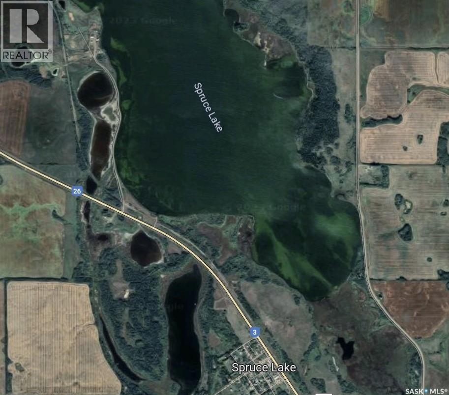 Nw-Pt-06-53-21-W3, Mervin Rm No.499, Saskatchewan  S0M 2W0 - Photo 3 - SK018873