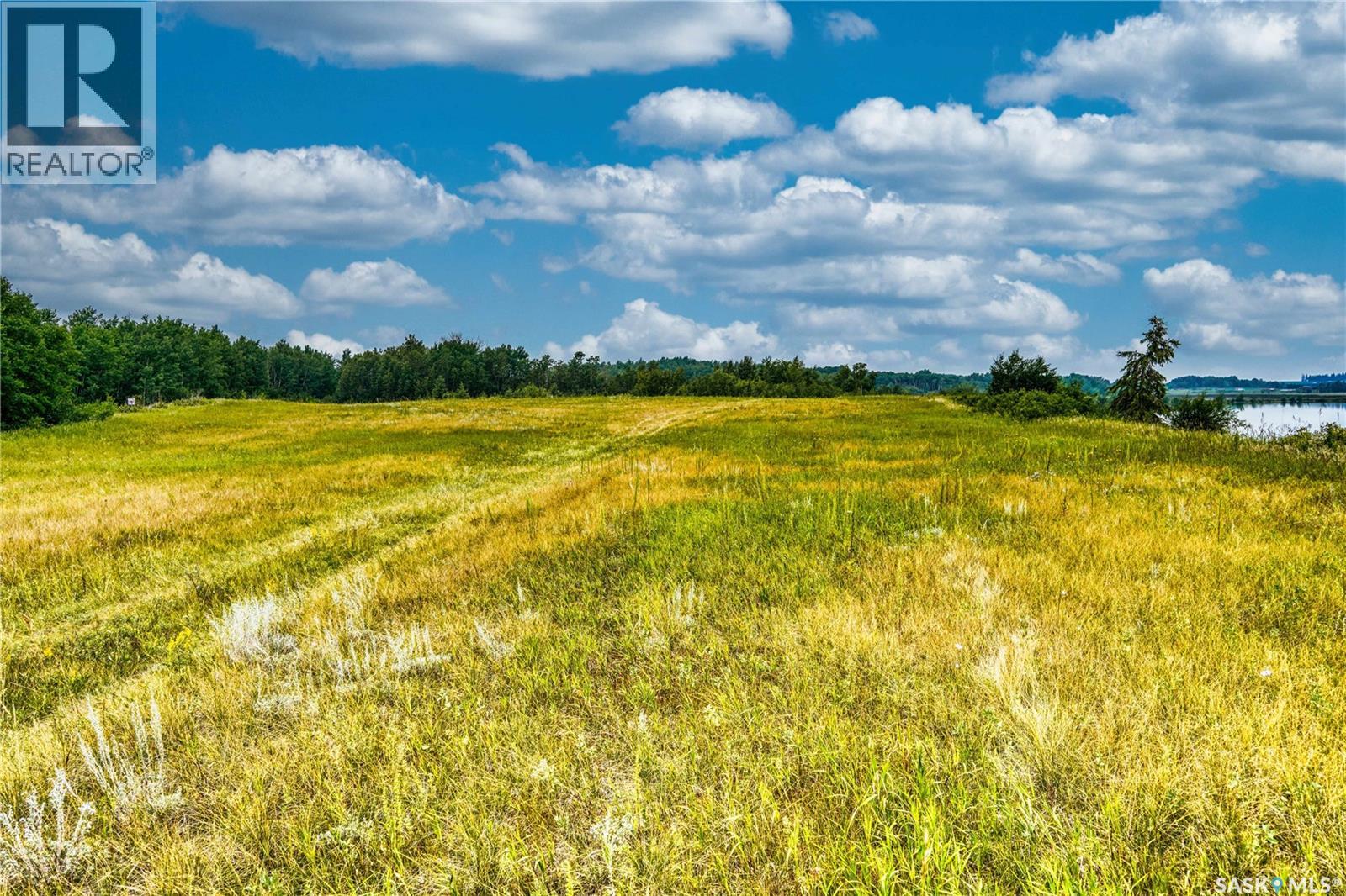 Nw-Pt-06-53-21-W3, Mervin Rm No.499, Saskatchewan  S0M 2W0 - Photo 14 - SK018873