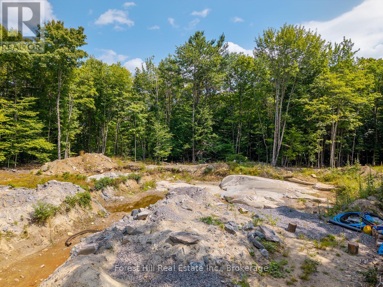 1028 Bruce Lake Drive, Muskoka Lakes, Ontario  P0B 1J0 - Photo 18 - X12418753