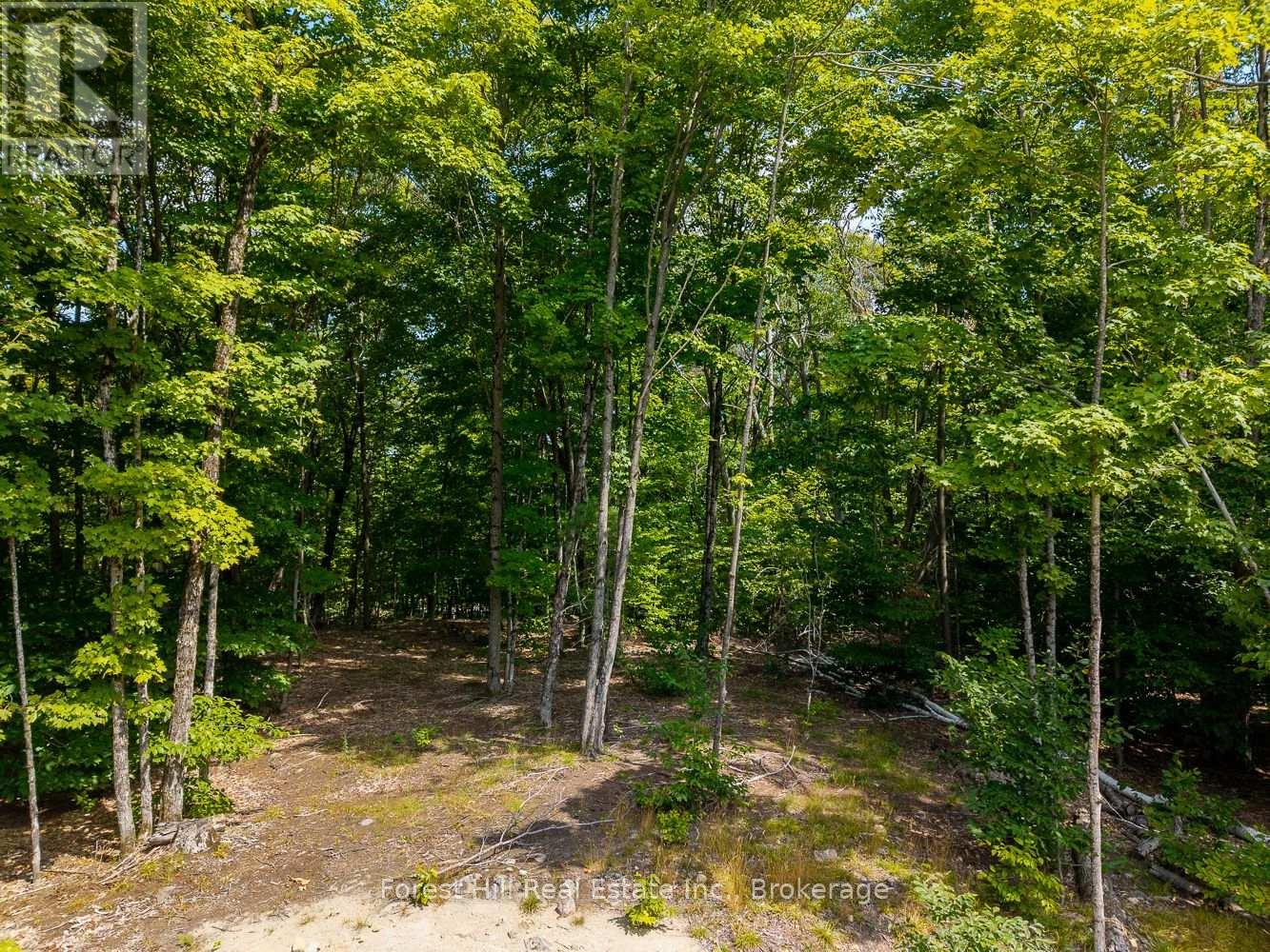 1028 Bruce Lake Drive, Muskoka Lakes, Ontario  P0B 1J0 - Photo 24 - X12418753