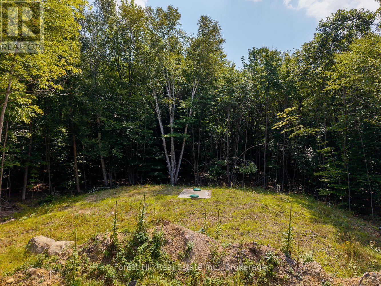 1028 Bruce Lake Drive, Muskoka Lakes, Ontario  P0B 1J0 - Photo 9 - X12418753