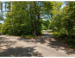 1028 BRUCE LAKE DRIVE, Muskoka Lakes, Ontario