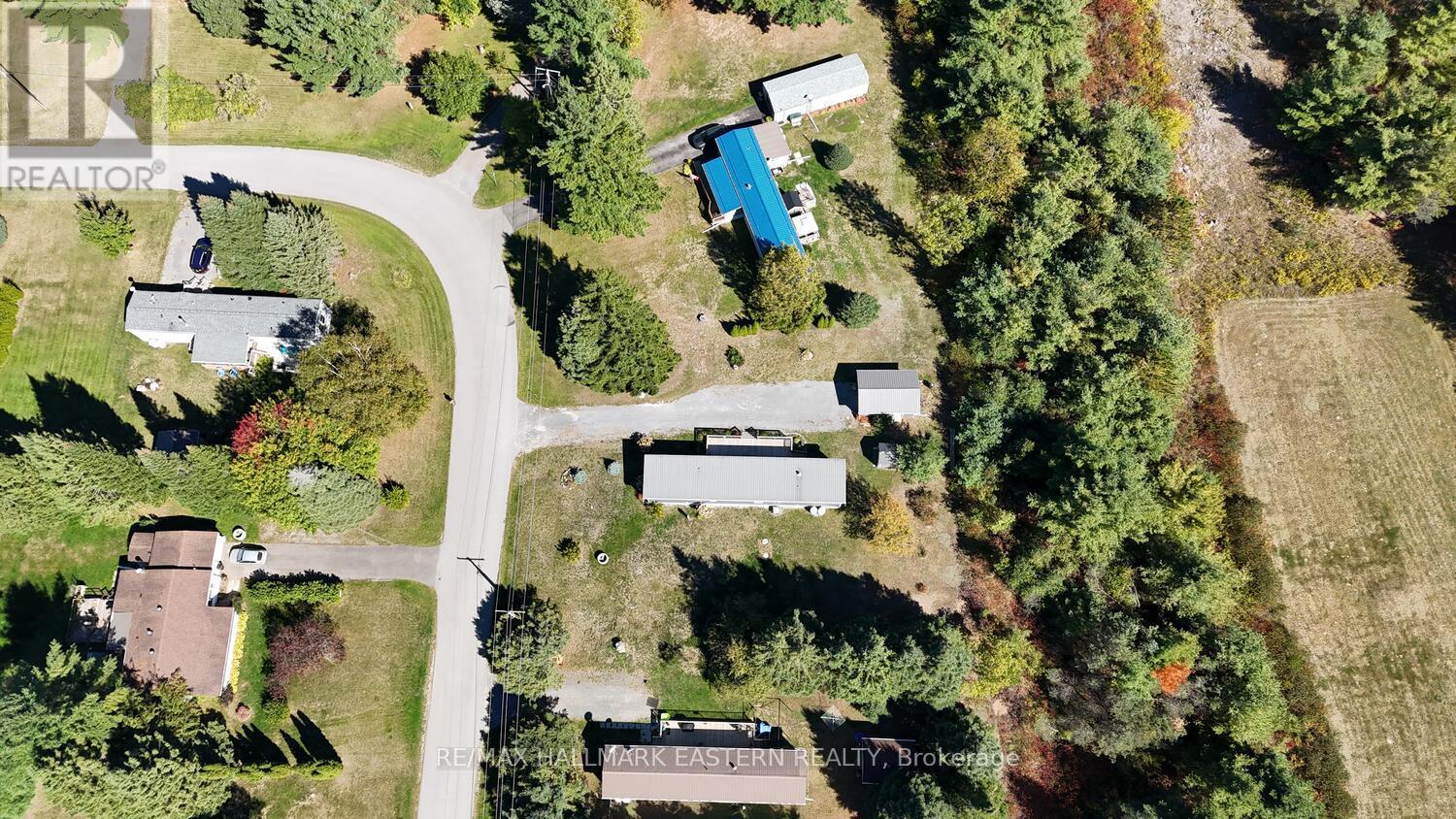35 Belmont Street, Havelock-Belmont-Methuen, Ontario  K0L 1Z0 - Photo 5 - X12418865