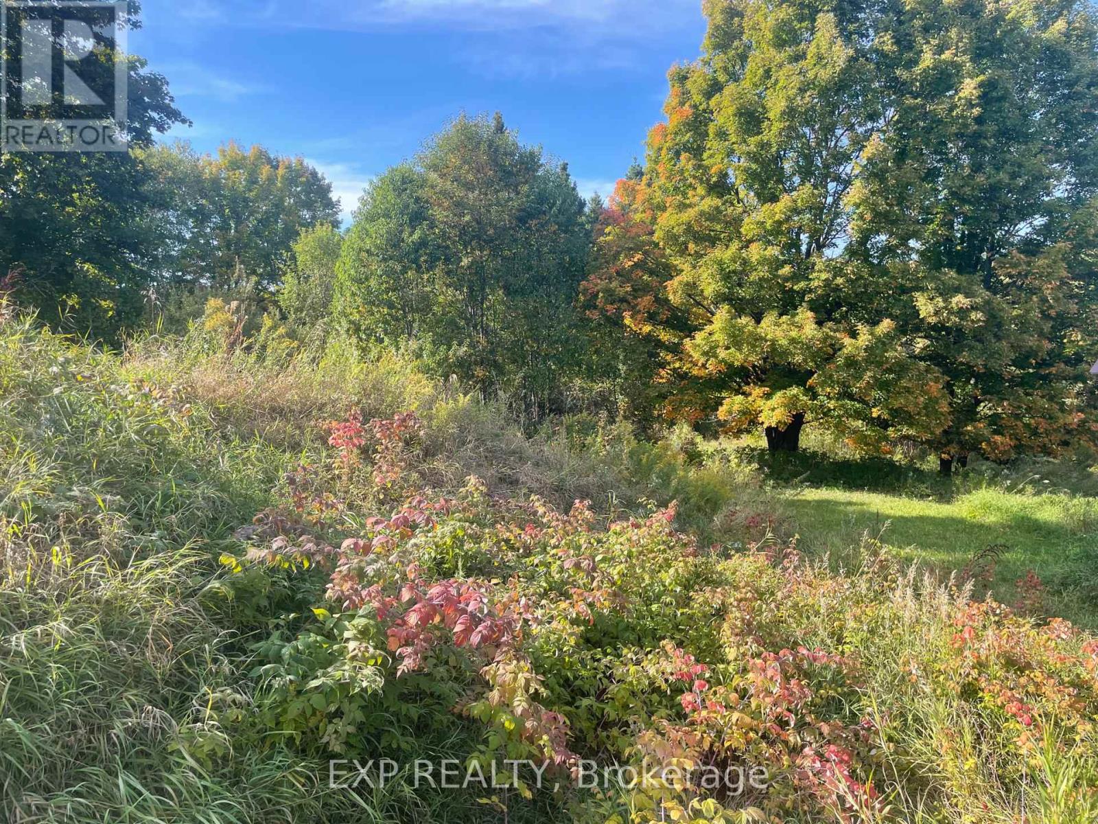 6188 Foymount Road, Brudenell, Ontario  K0J 2E0 - Photo 2 - X12418843