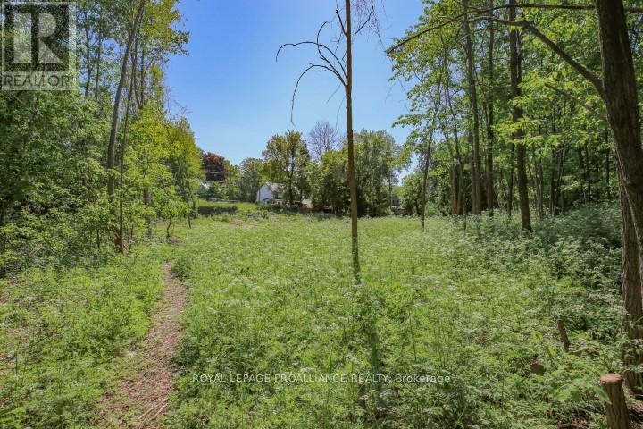 0 Edward Street, Brockville, Ontario  K6V 5K2 - Photo 9 - X12418738